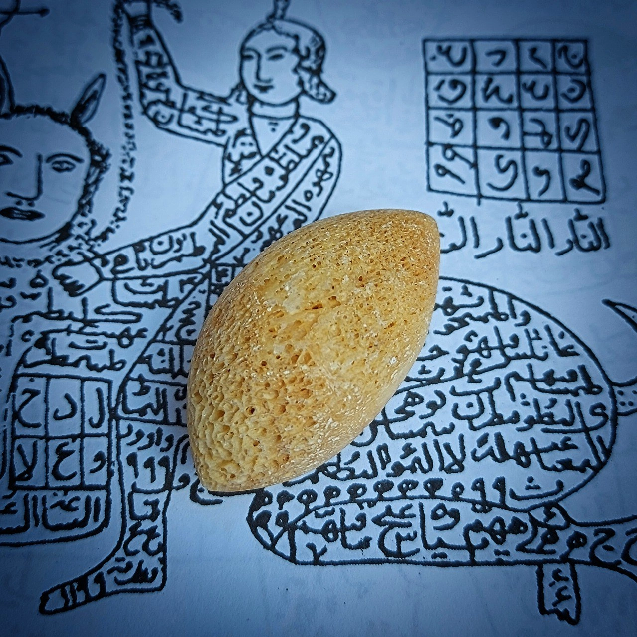 خرمهره پاکستانی